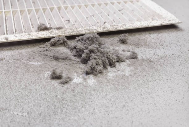 Best Affordable Air Duct Cleaning  in Ozark, AL