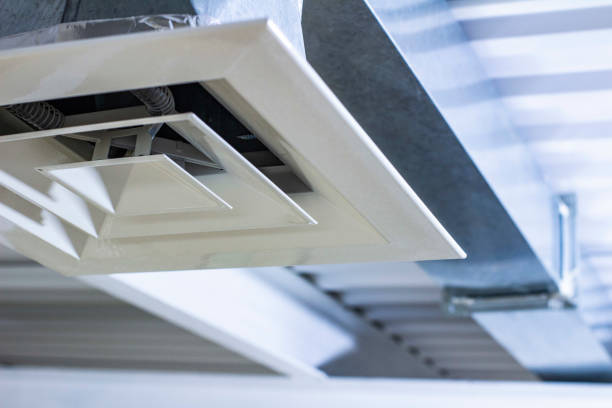 Best Home Air Vent Cleaning  in Ozark, AL